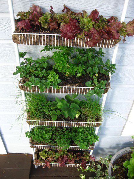 Top 21 The Most Easiest DIY Vertical Garden Ideas With a Big Statement