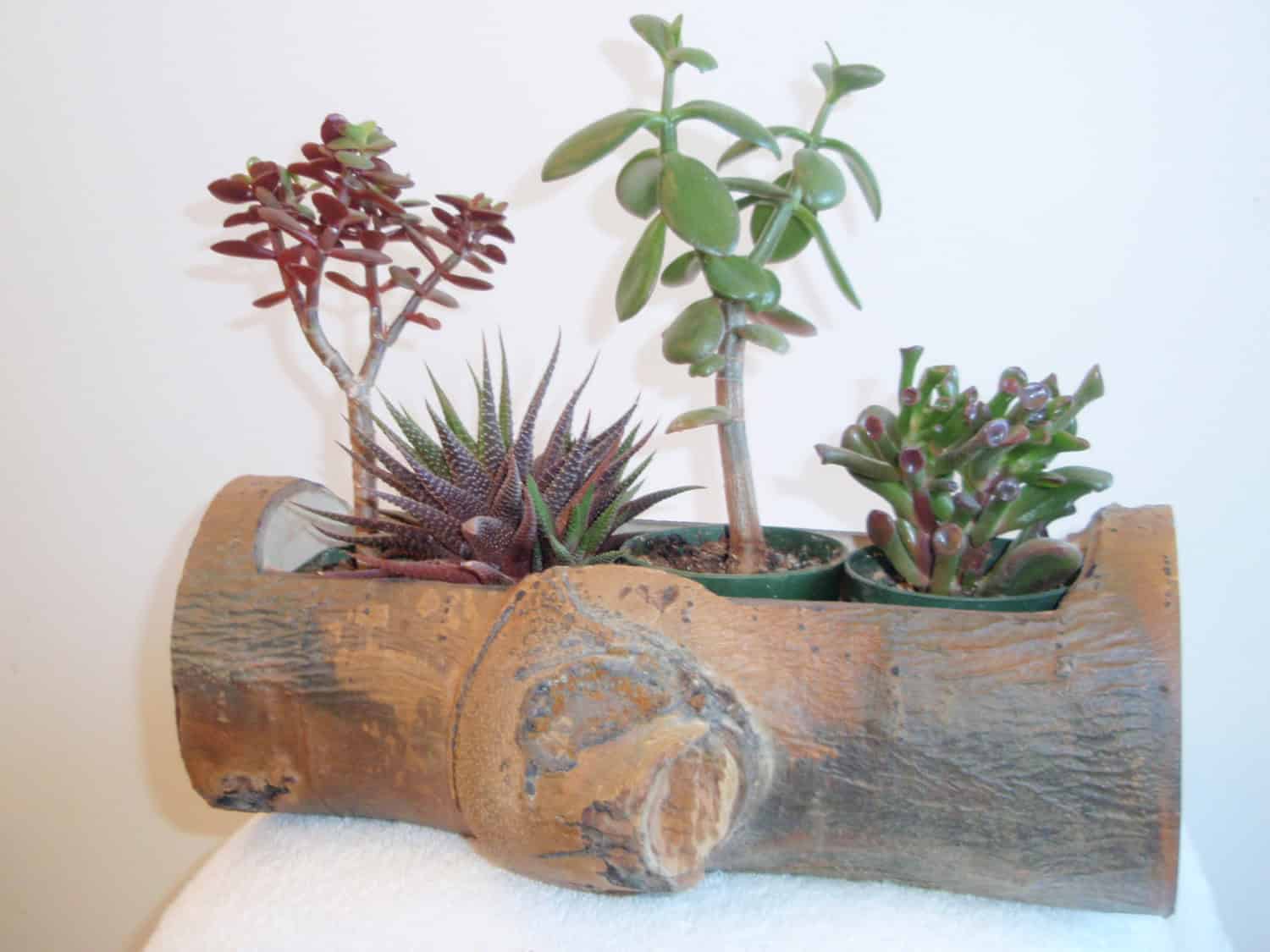 Rustic Aspen wooden planter Source