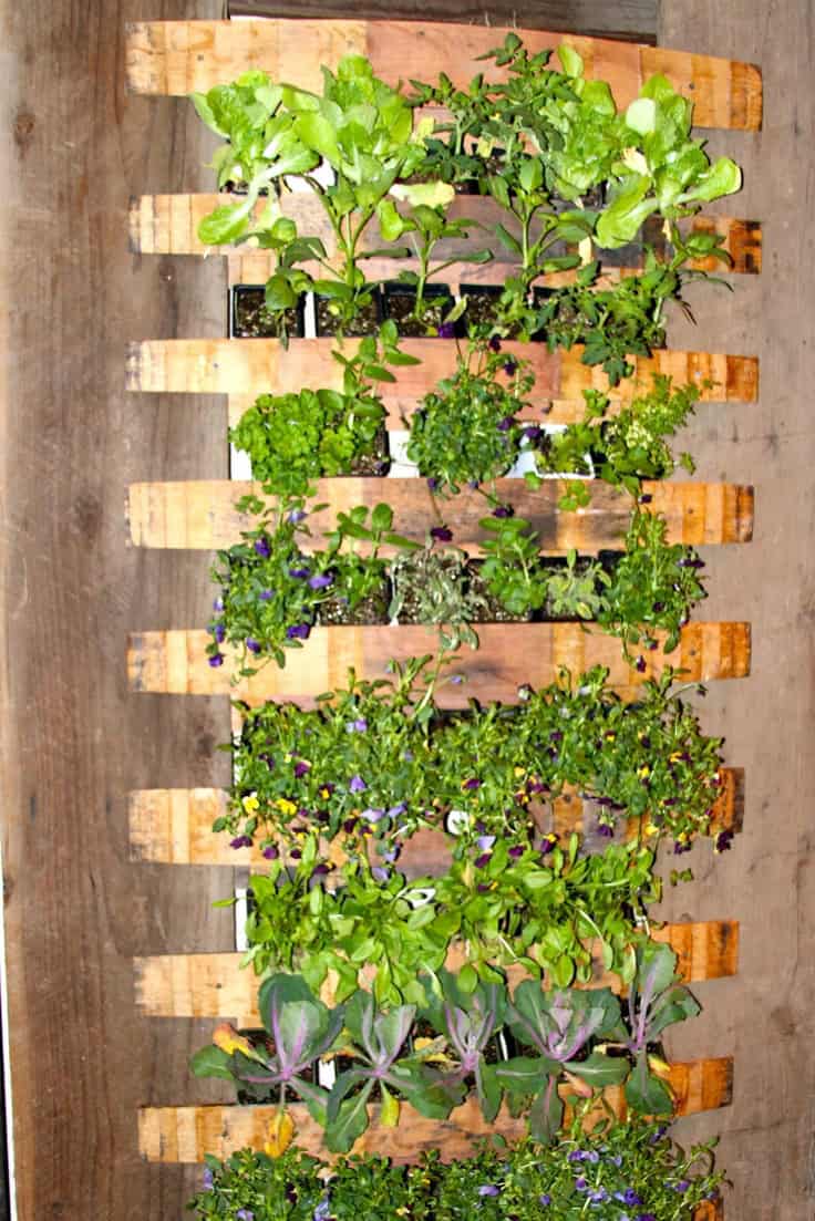 Top 21 The Most Easiest DIY Vertical Garden Ideas With a Big Statement 16