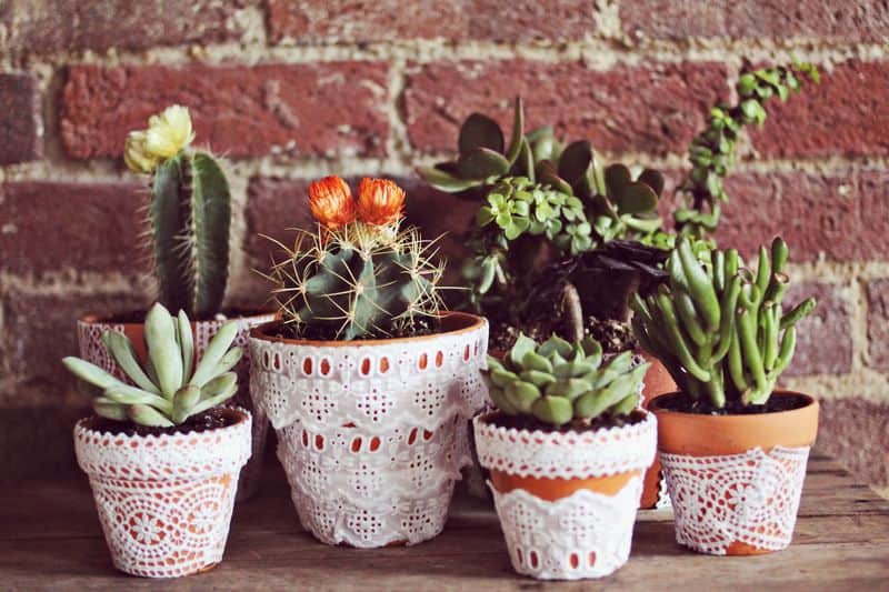 33 Of The Most Coolest & Unique DIY Planters You Never Thought Of 5