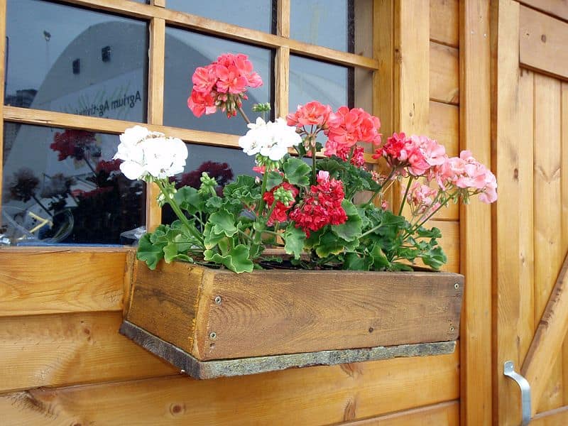 19 Irresistible Flower Box Ideas For Your Windows 10