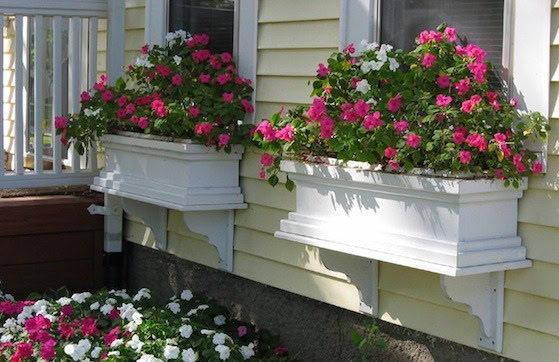 19 Irresistible Flower Box Ideas For Your Windows