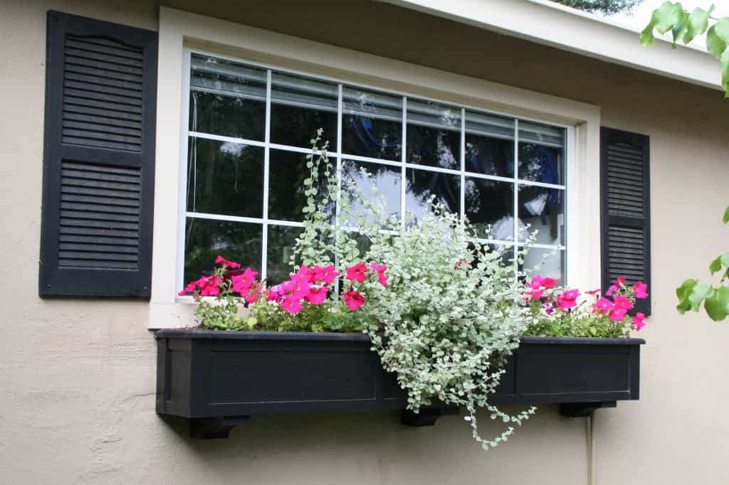 19 Irresistible Flower Box Ideas For Your Windows