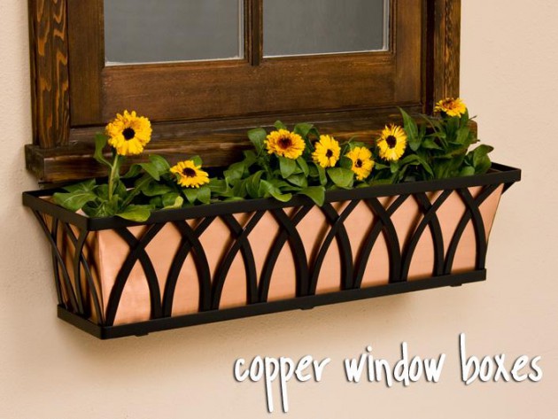 19 Irresistible Flower Box Ideas For Your Windows