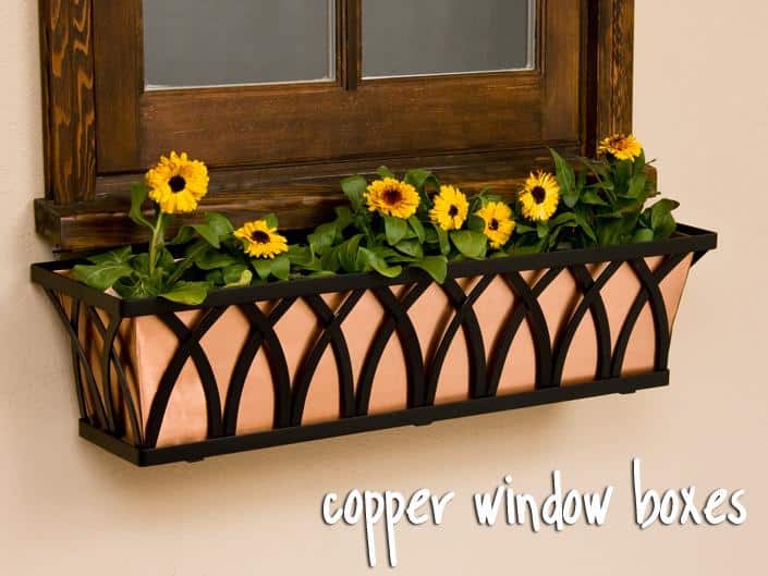 19 Irresistible Flower Box Ideas For Your Windows 14