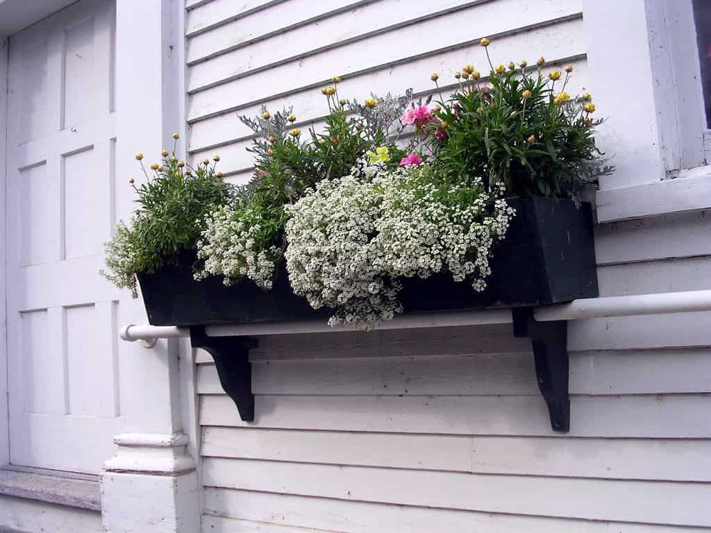 19 Irresistible Flower Box Ideas For Your Windows 16