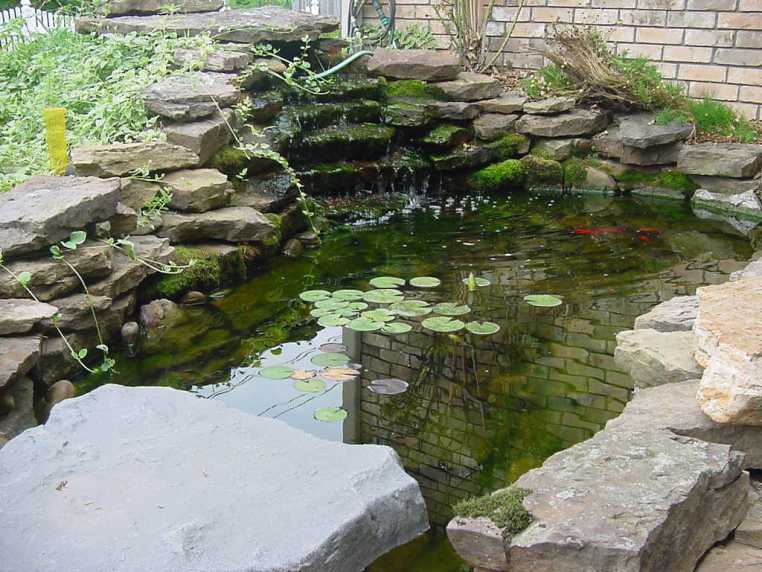 Attracitve Fish Pond In Your Backyard- 23 Impressive Ideas 17