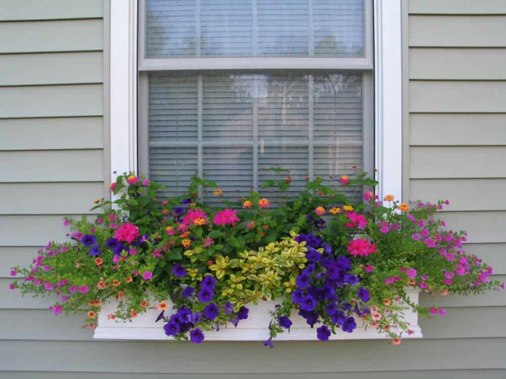 19 Irresistible Flower Box Ideas For Your Windows 17