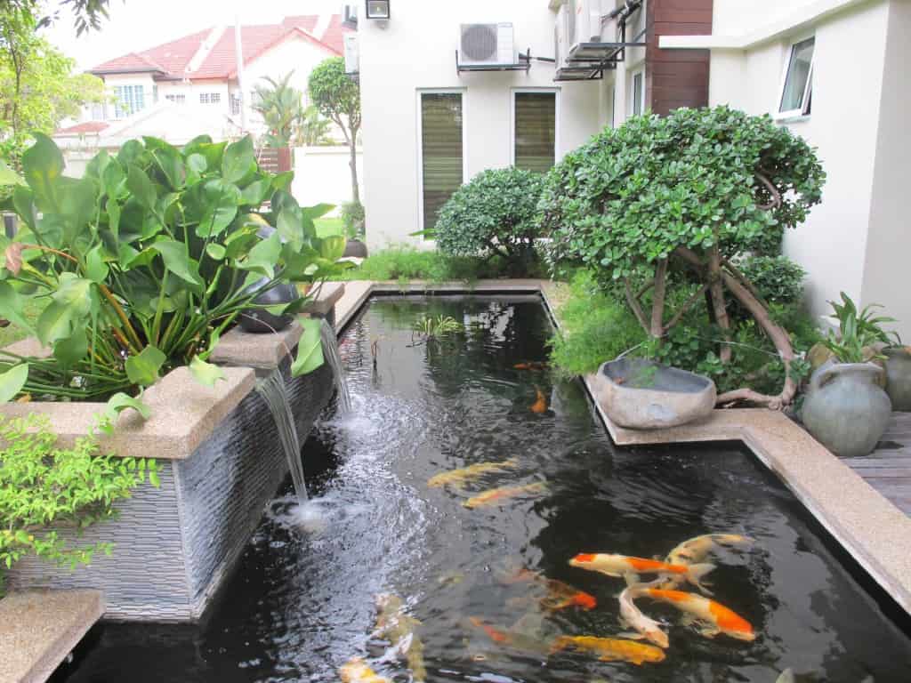 Attracitve Fish Pond In Your Backyard 23 Impressive Ideas