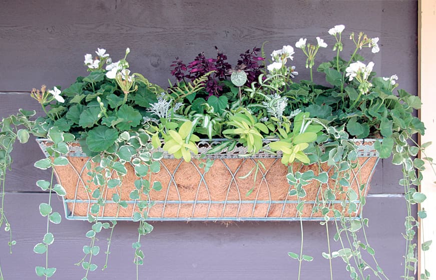 19 Irresistible Flower Box Ideas For Your Windows 18