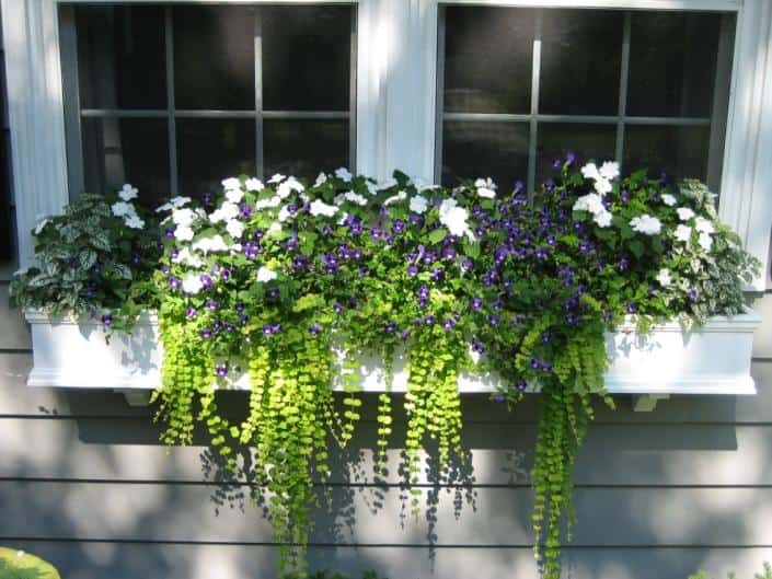 19 Irresistible Flower Box Ideas For Your Windows 5