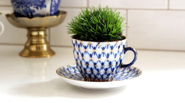 16 Refreshing Mini Indoor Planters For Every Part Of The Home