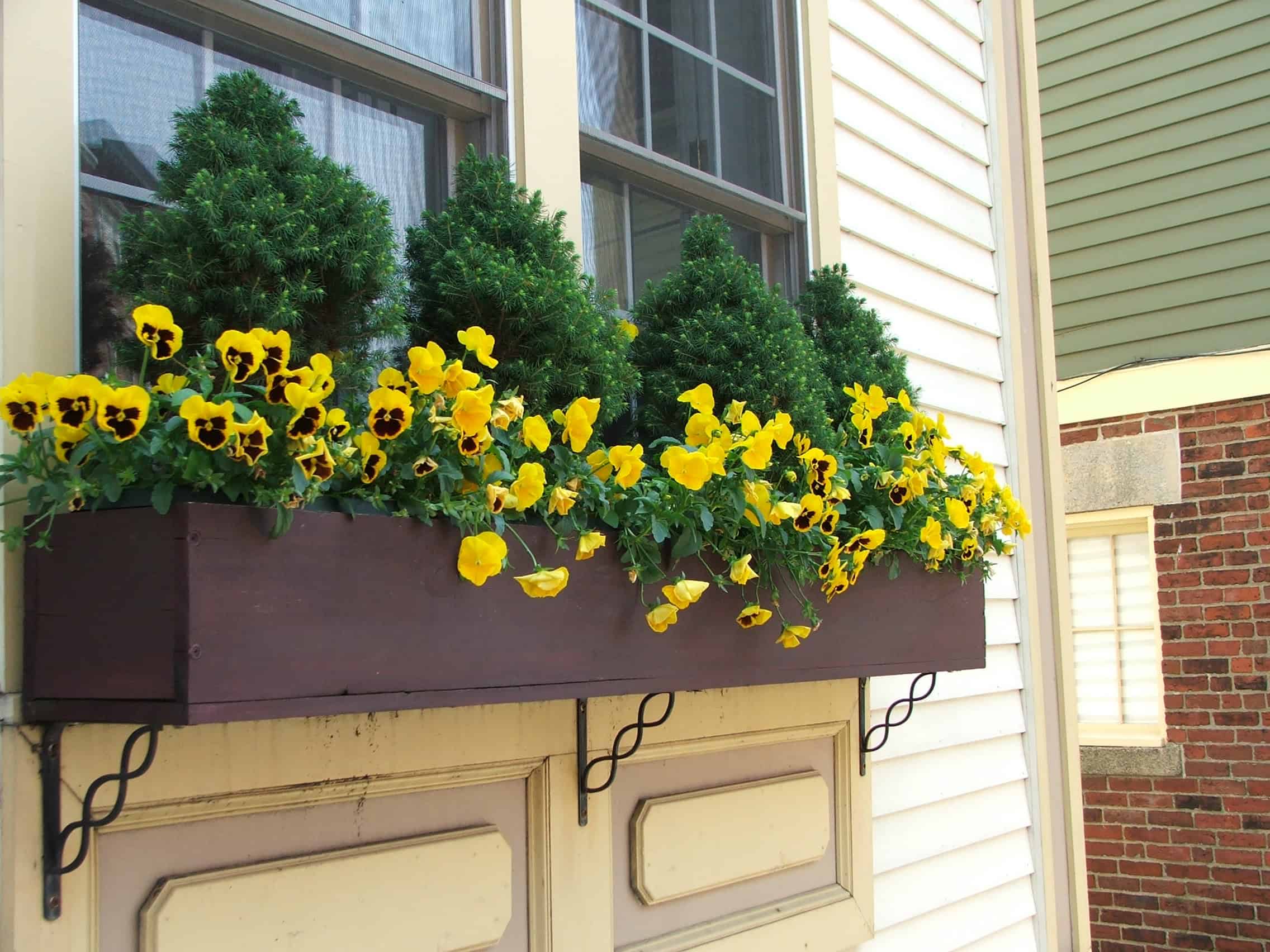 19 Irresistible Flower Box Ideas For Your Windows 9
