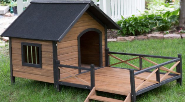 Top 10 Of The Coolest Dog House Designs