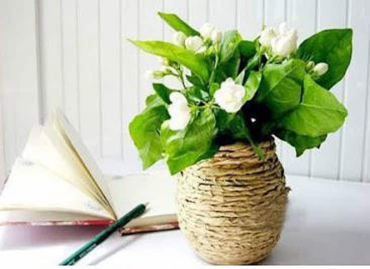 18 Simple & Easy DIY Flower Pot Designs 15