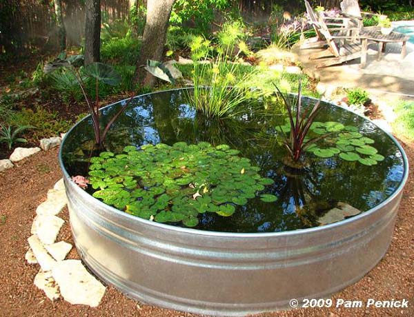 15 Charming DIY Mini Garden Pond Ideas