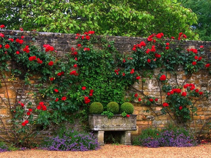 15 Incredibly Attractive Ideas That You Can Apply In Your Garden 11