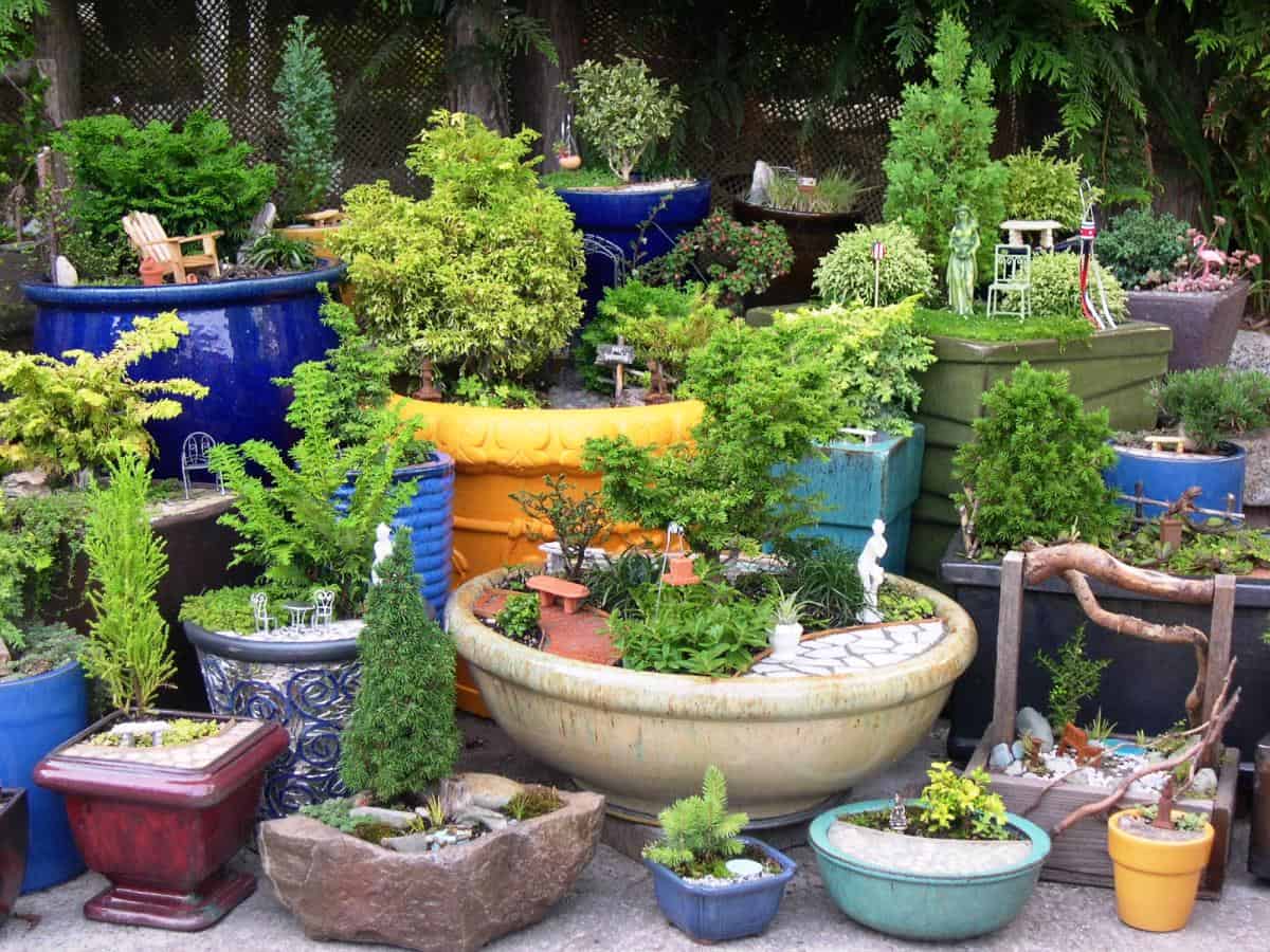 15 Incredibly Attractive Ideas That You Can Apply In Your Garden 1