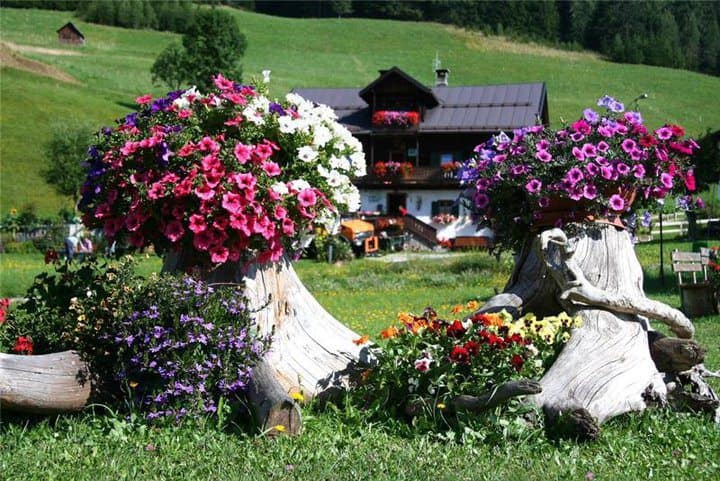 15 Incredibly Attractive Ideas That You Can Apply In Your Garden 5