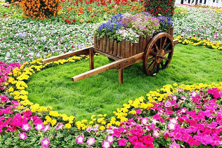 15 Incredibly Attractive Ideas That You Can Apply In Your Garden