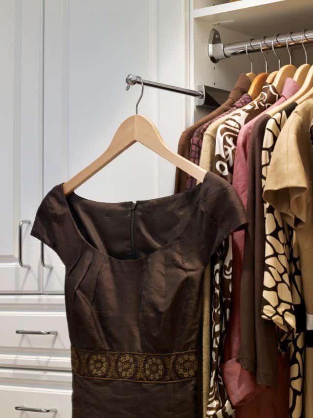 19 Clever Storage and Organizing Ideas For The Closet 7