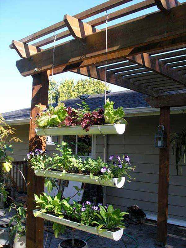 Mini Gutter Garden 7