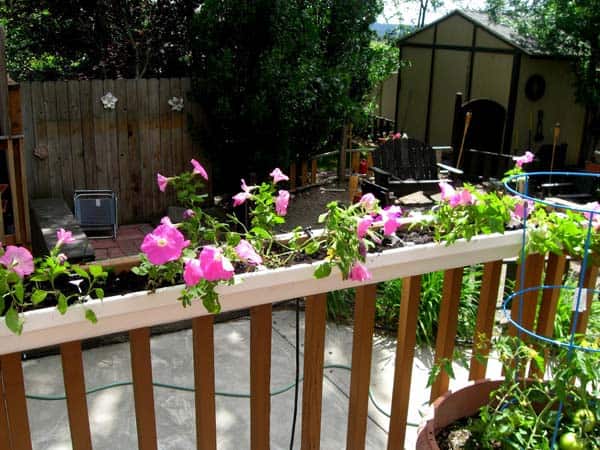 Rain Gutter Planter Attached to the Deck Railing 8