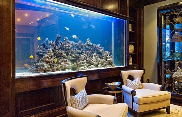 16 Truly Amazing Interiors With Fascinating Aquarium