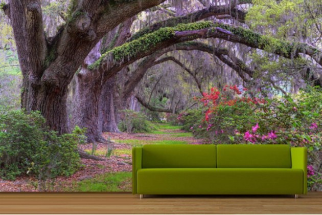 19 Divine Nature Themed Wallpapers For Your Dream Living Room