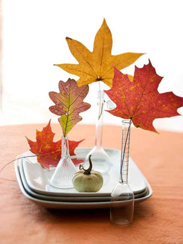 10 Ways To Make Wonderful Fall Decor With Fallen Leaves 4