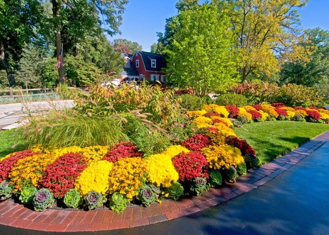 17 Brilliant Front Yard Landscape Design Ideas 4