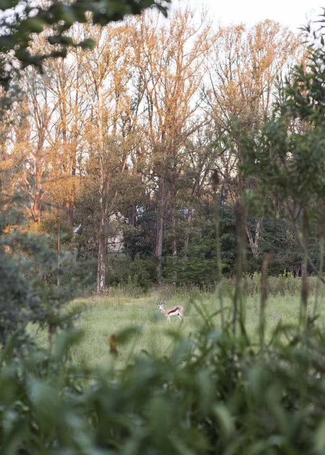 House in Blair Atholl, Werner van der Meulen David Ross and Barend Roberts