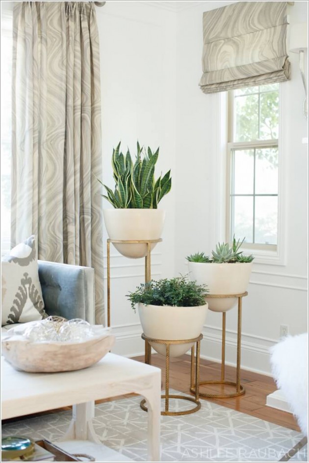 18 Functional Ideas How To Display Your Indoor Plants