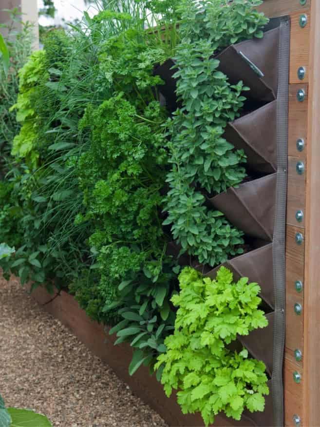 Vertical garden Source