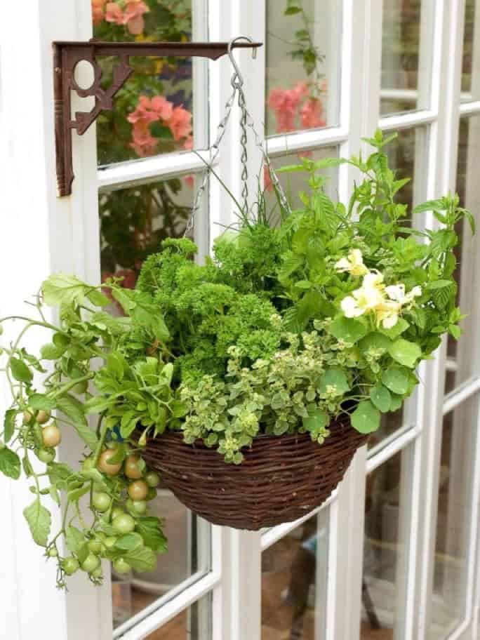 Hanging herb/veggie basket Source