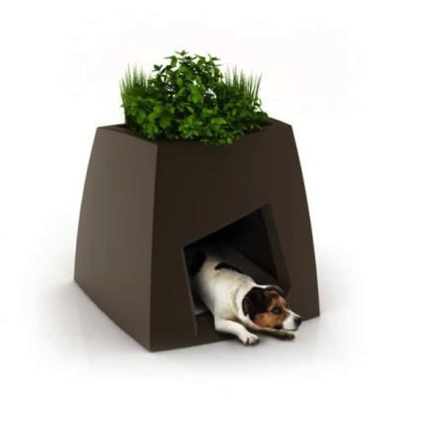 Garden on top of dog house Source