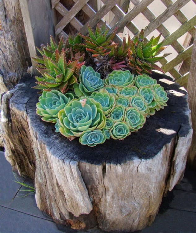 14 Interesting Ideas How To Decorate Your Garden With Tree Stumps 11