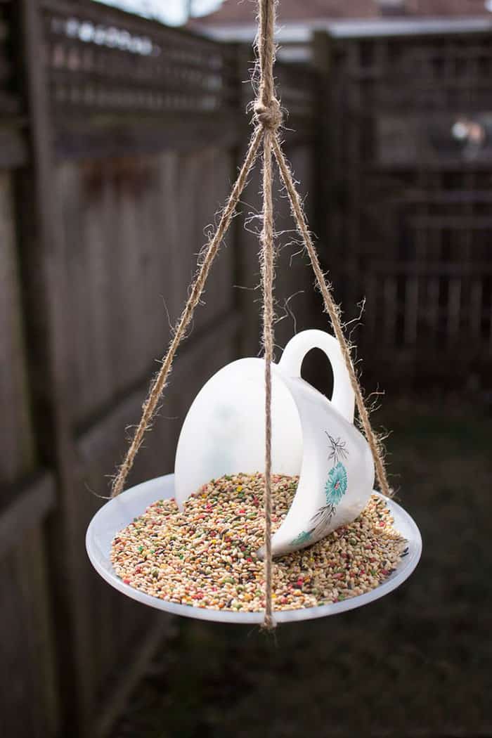 Teacup Bird Feeder 7