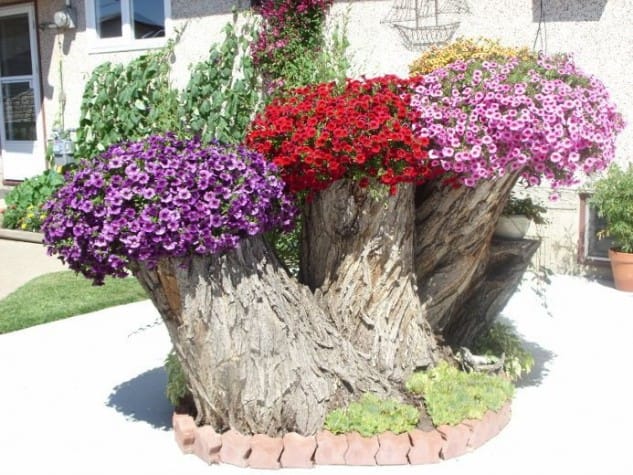 14 Interesting Ideas How To Decorate Your Garden With Tree Stumps 8