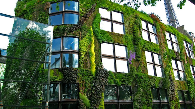 Vertical Gardens Changing Gardening in Small Spaces
