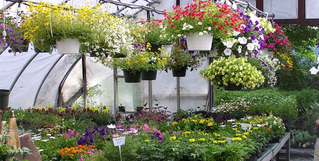 21 Most Attractive DIY Hanging Garden Ideas To Break The Monotony In Every Space