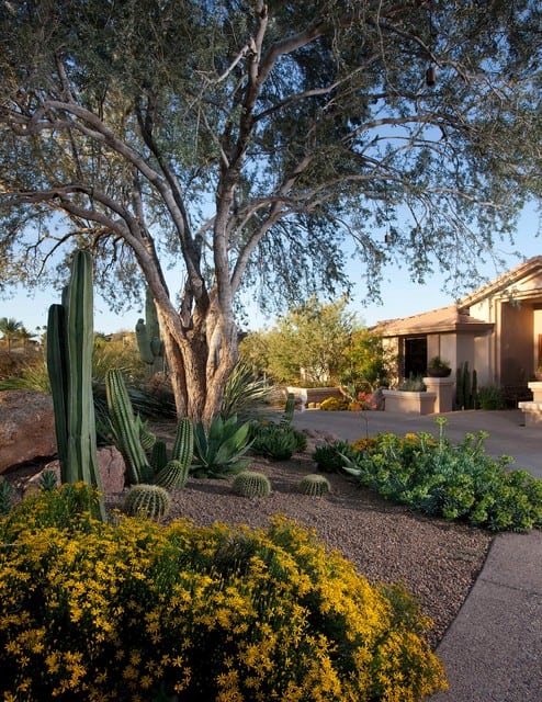 16 Dazzling Desert Landscape Designs That You Are Going To Love