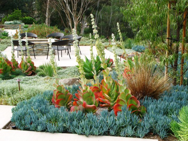 16 Dazzling Desert Landscape Designs That You Are Going To Love