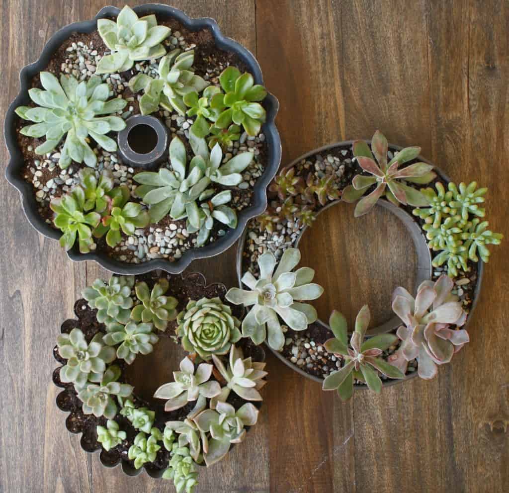 15 Really Cool Ways To Repurpose Old Kitchenware Into Beautiful Planters 13