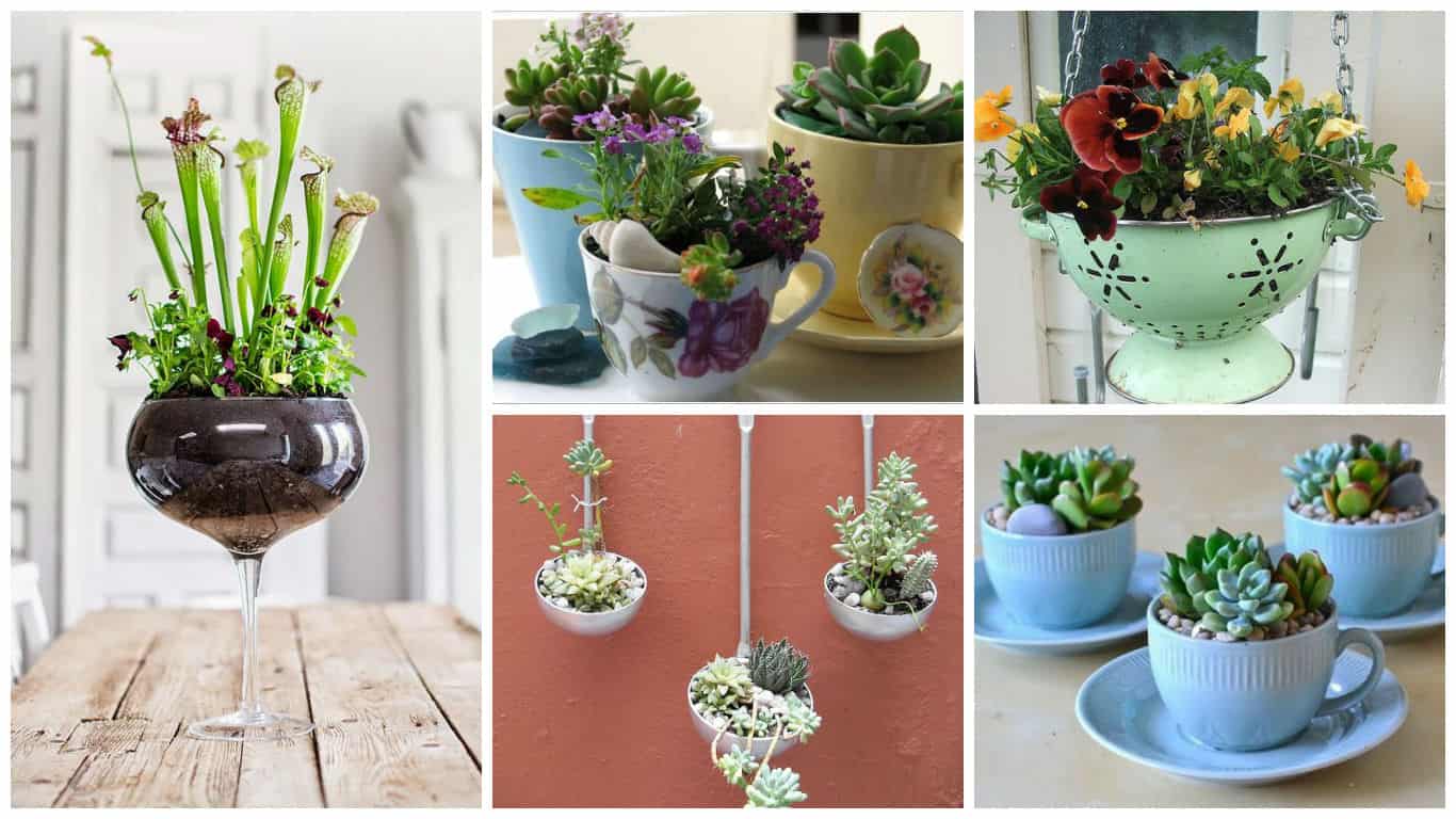 15 Really Cool Ways To Repurpose Old Kitchenware Into Beautiful Planters