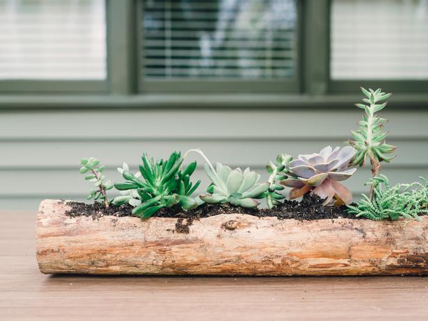 17 Awe-Inspiring Log Centerpiece Designs To Adorn Your Dining Table