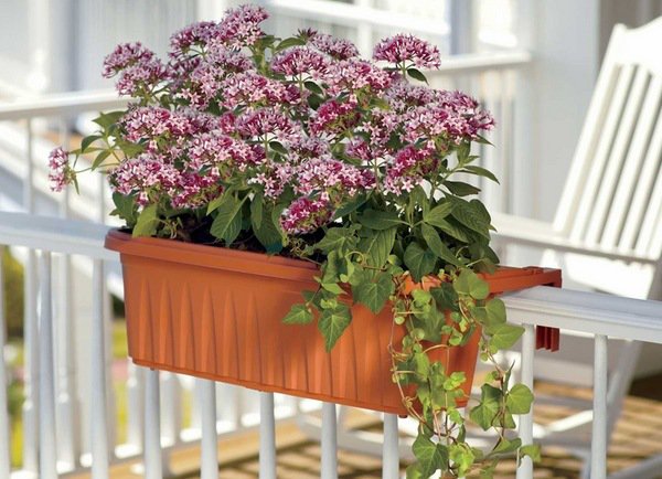 15 Awesome Flower Pot Designs To Enhance The Look Of Your Balcony