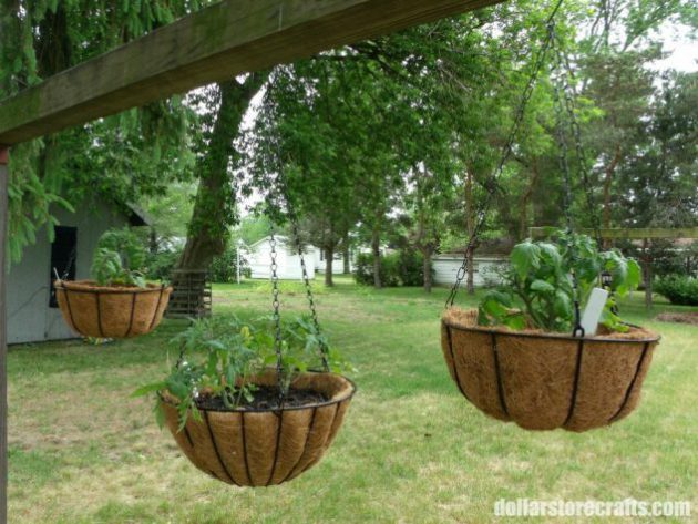 19 Ingenious Garden Decorations That Will Impress You