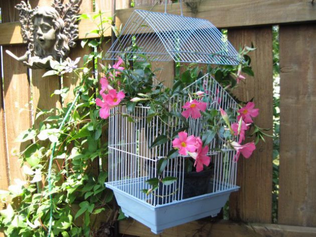 Top 20 Surprisingly Genius Ideas To Repurpose Birdcages Into Planters