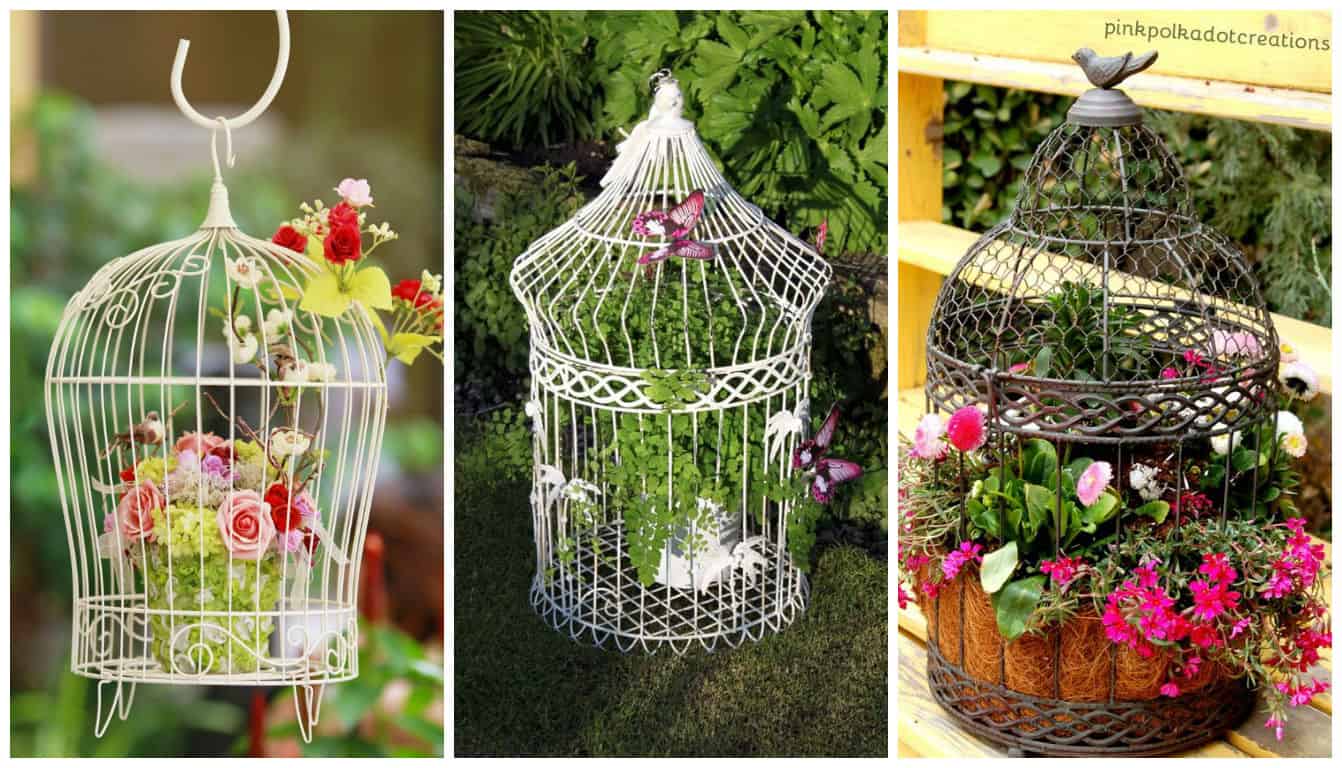 Top 20 Surprisingly Genius Ideas To Repurpose Birdcages Into Planters